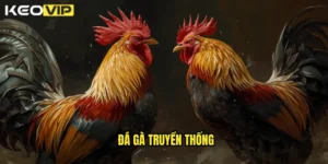 đá gà truyền thống