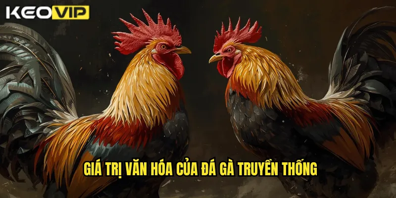 Đá Gà Truyền Thống Việt Nam - Bảo Tồn Văn Hóa Cùng kèo nhà cái bg 1 Giá trị văn hóa của đá gà truyền thống