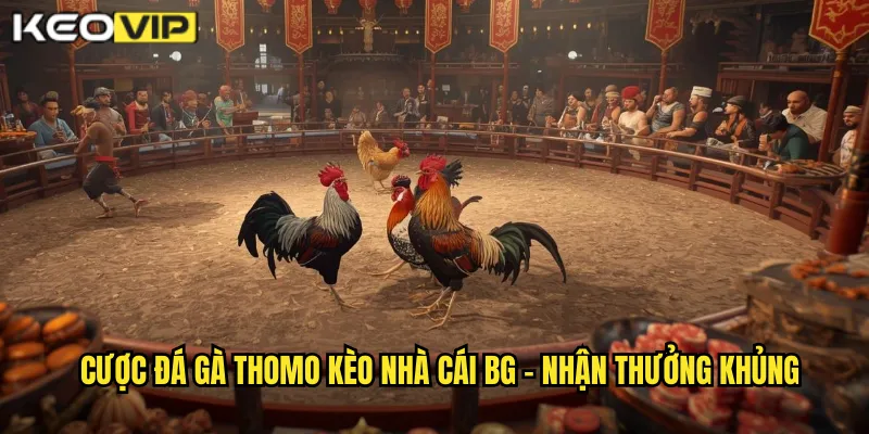 Cược đá gà thomo kèo nhà cái bg - Nhận thưởng khủng