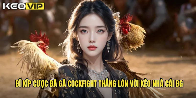 Bí kíp cược đá gà Cockfight thắng lớn với kèo nhà cái bg