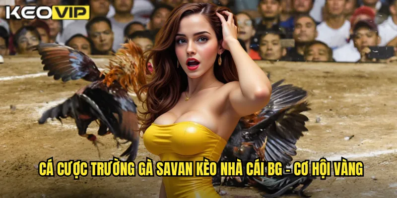 Cá cược trường gà Savan kèo nhà cái bg - Cơ hội vàng