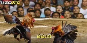 đá gà S128