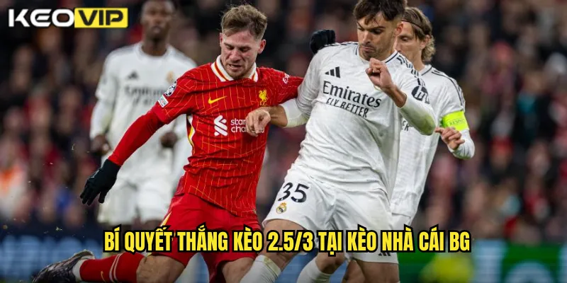 Kèo 2.5/3 kèo nhà cái bg - Giải Mã Kèo Chấp Kép Phức Tạp 2 Bí quyết thắng kèo 2.5/3 tại kèo nhà cái bg
