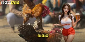 đá gà c2