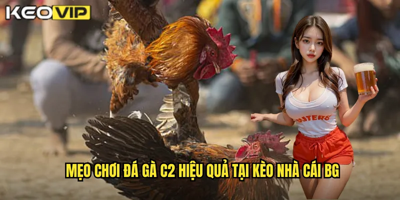 Đá Gà C2 kèo nhà cái bg - Trải Nghiệm Trận Đấu Gà Kịch Tính 2 Mẹo chơi đá gà c2 hiệu quả tại kèo nhà cái bg
