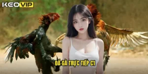 đá gà trực tiếp C1