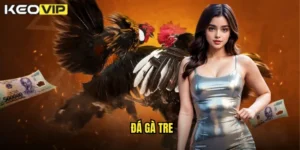 đá gà tre