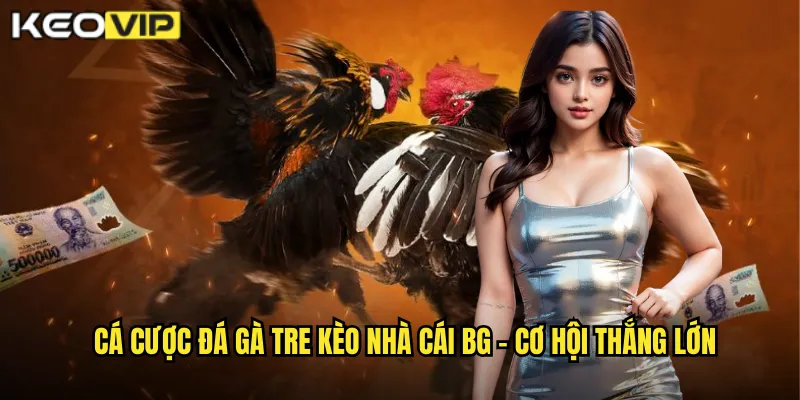 Cá cược đá gà tre kèo nhà cái bg - Cơ hội thắng lớn