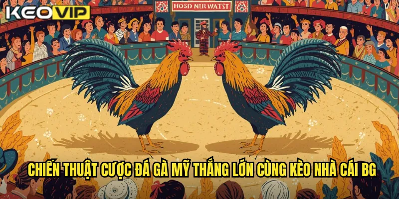 Chiến thuật cược đá gà Mỹ thắng lớn cùng kèo nhà cái bg